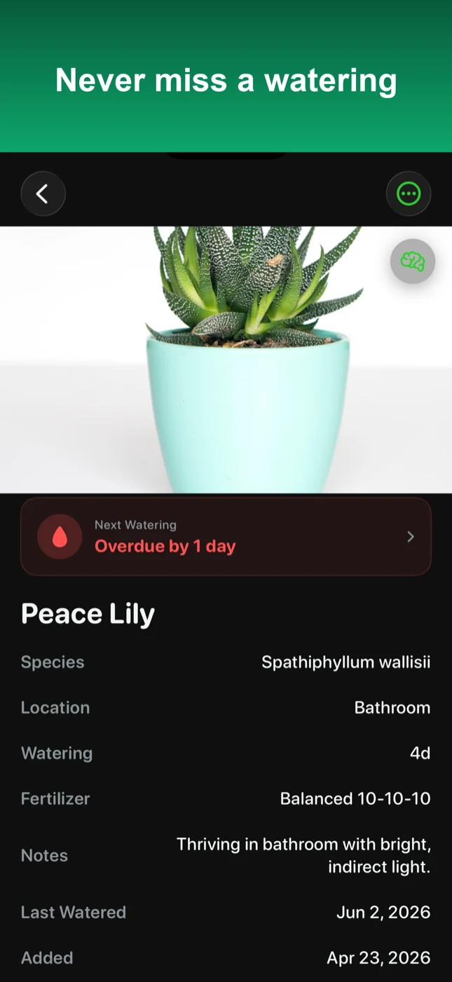 MultiPlant plant detail showing a watering overdue reminder for a Peace Lily