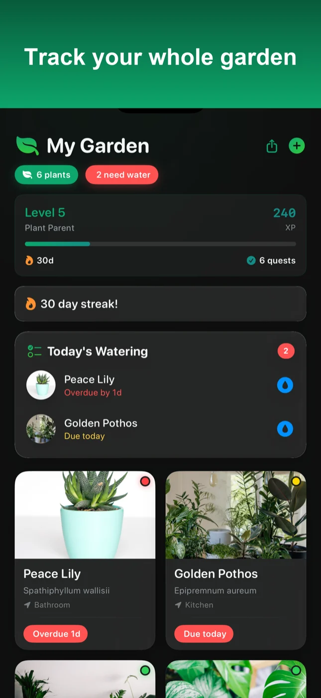MultiPlant dashboard with a plant grid, level and streak, and today's watering list